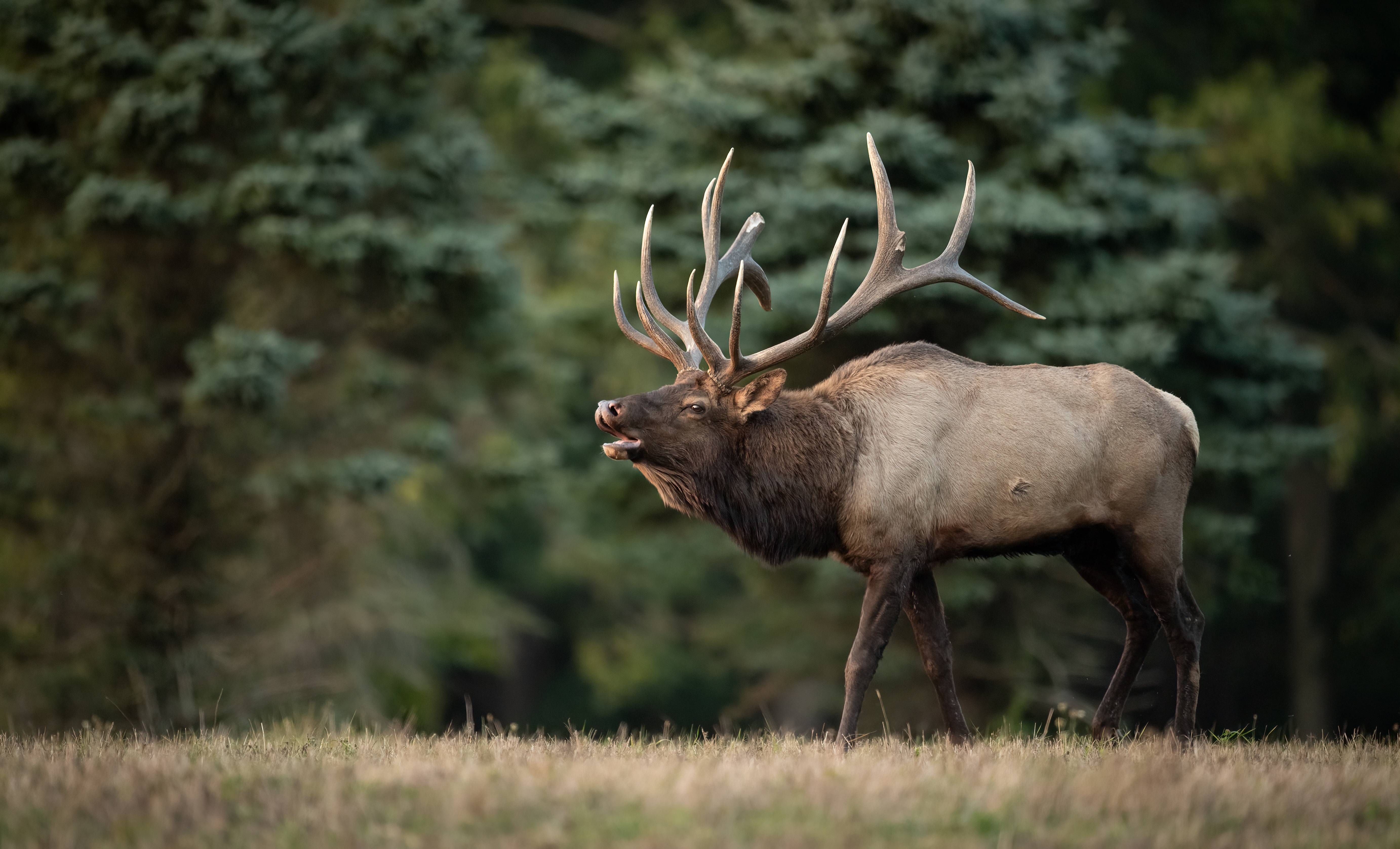 Welcome to Stiver Optics